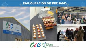 Inauguration Ouest Indus Elec à Bréhand